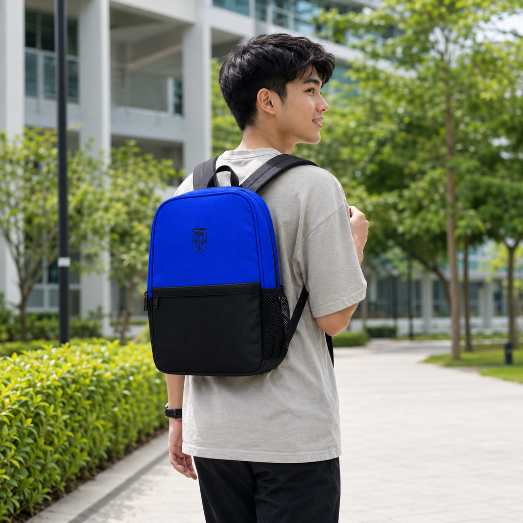 OEM BAG 2