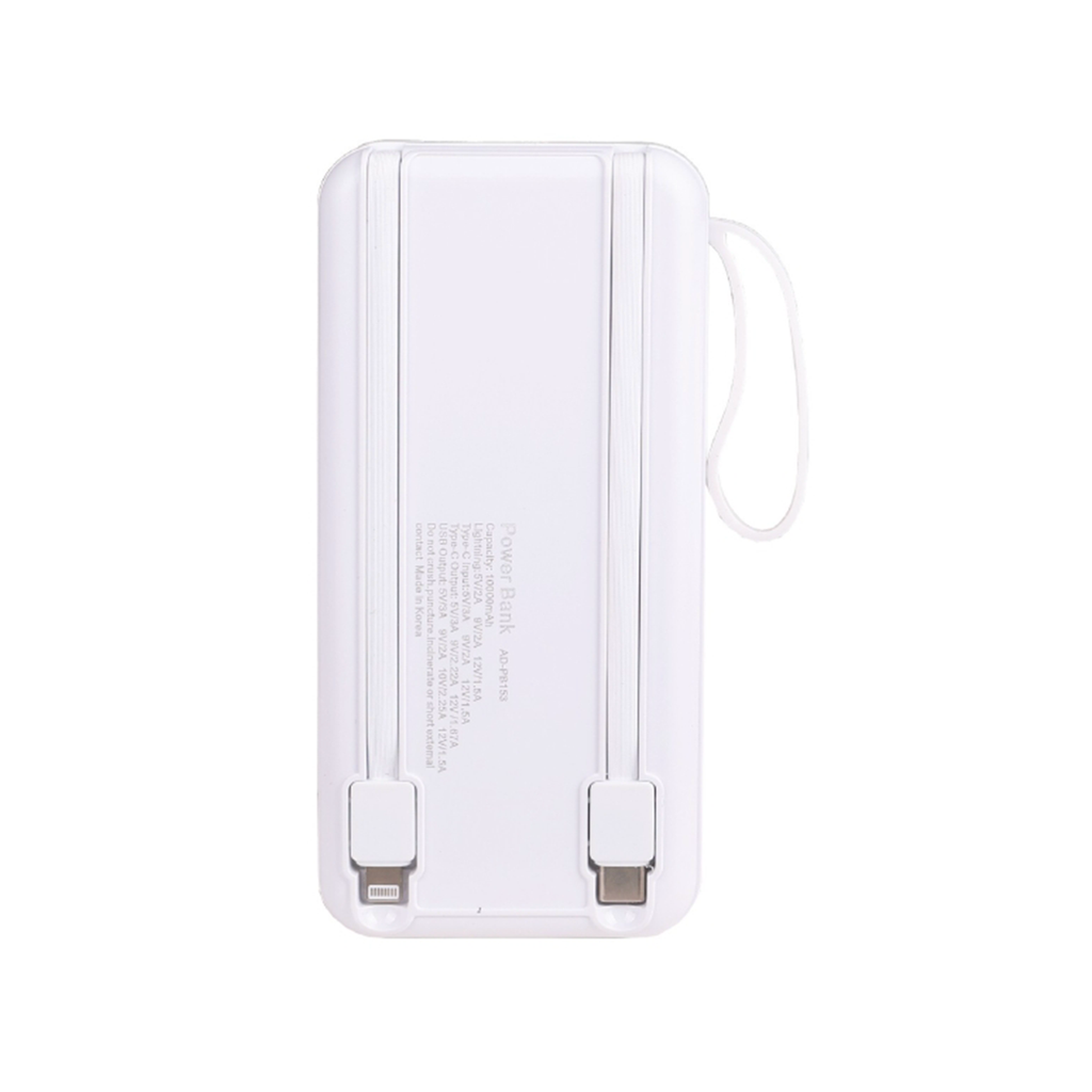 Fast Charging Power Bank