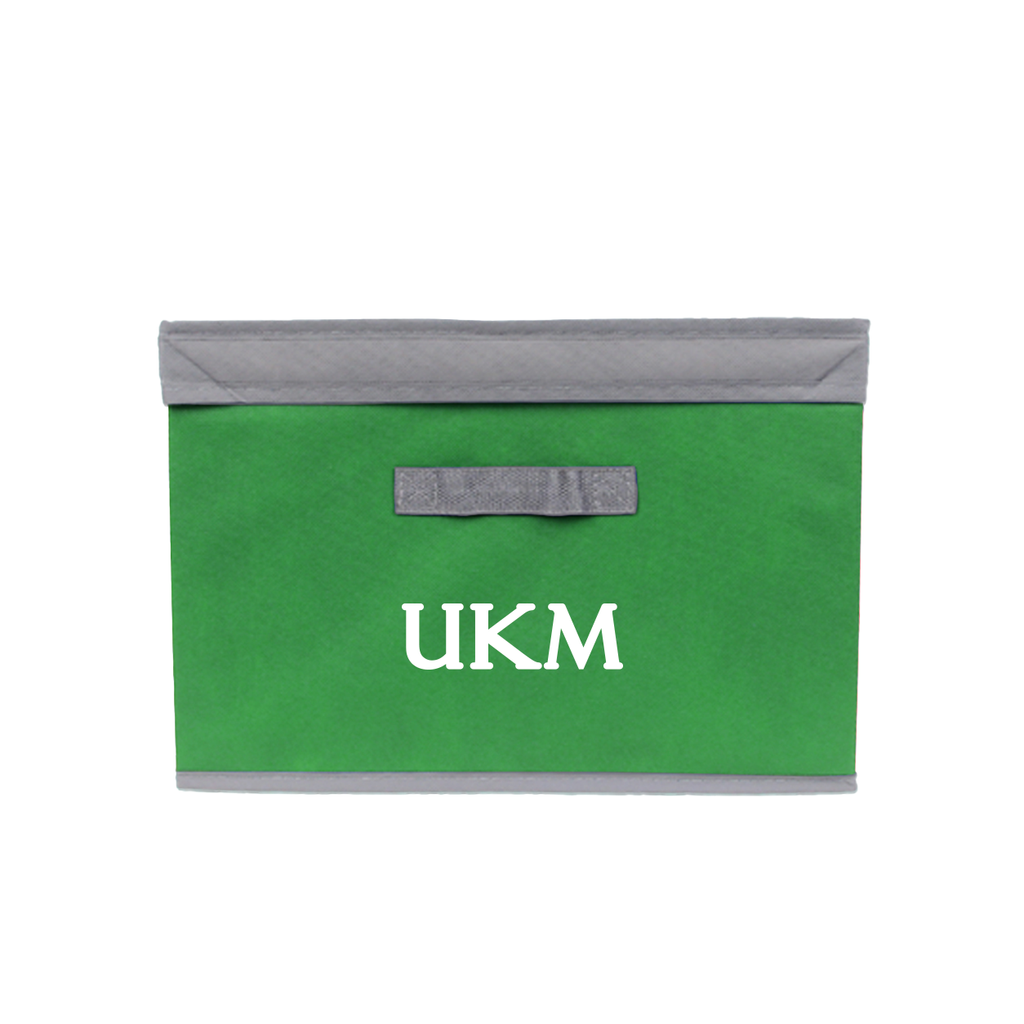 Foldable Storage Box (B)