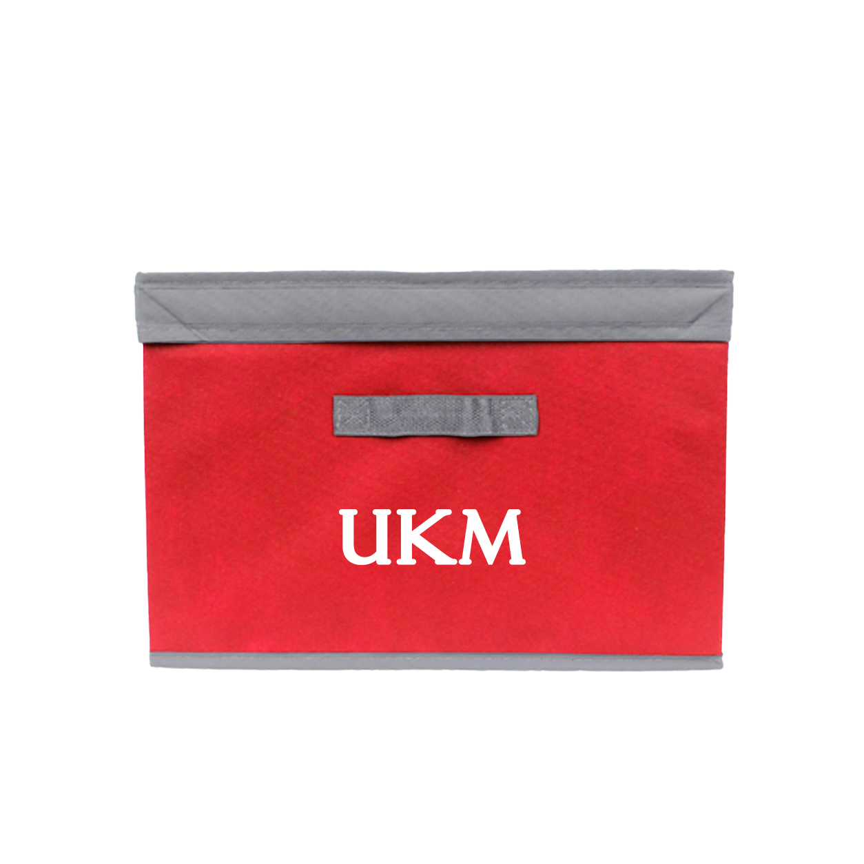 Foldable Storage Box (B)